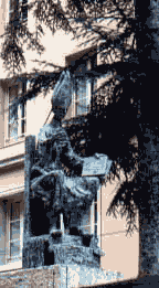 oliva.gif (12857 bytes)