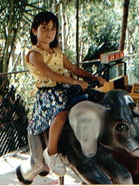 marian.jpg (25197 bytes)