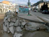 Dscn1806