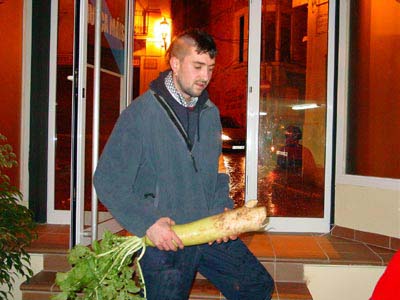naps2003_01