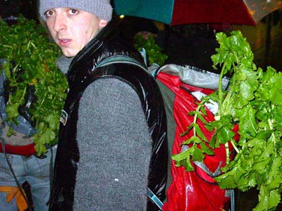 naps2003_01