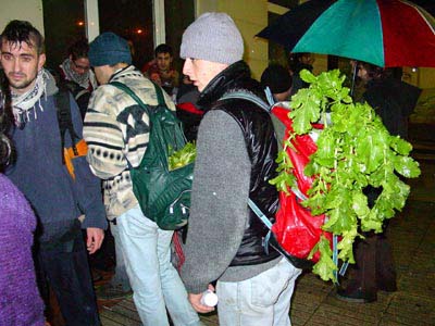 naps2003_01