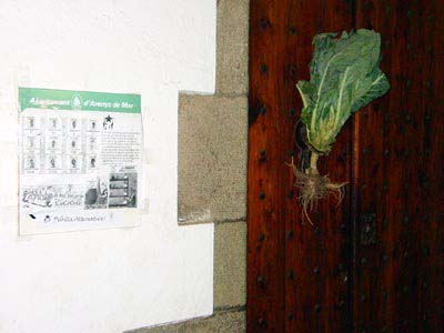 naps2003_01